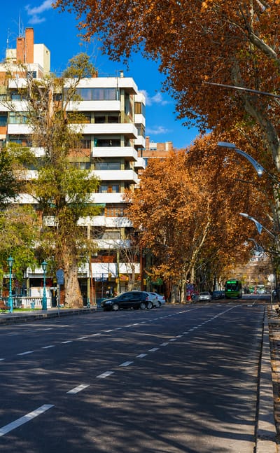 Tree-lined Mendoza avenue with autumn plane trees, benches and a residential building under a blue sky