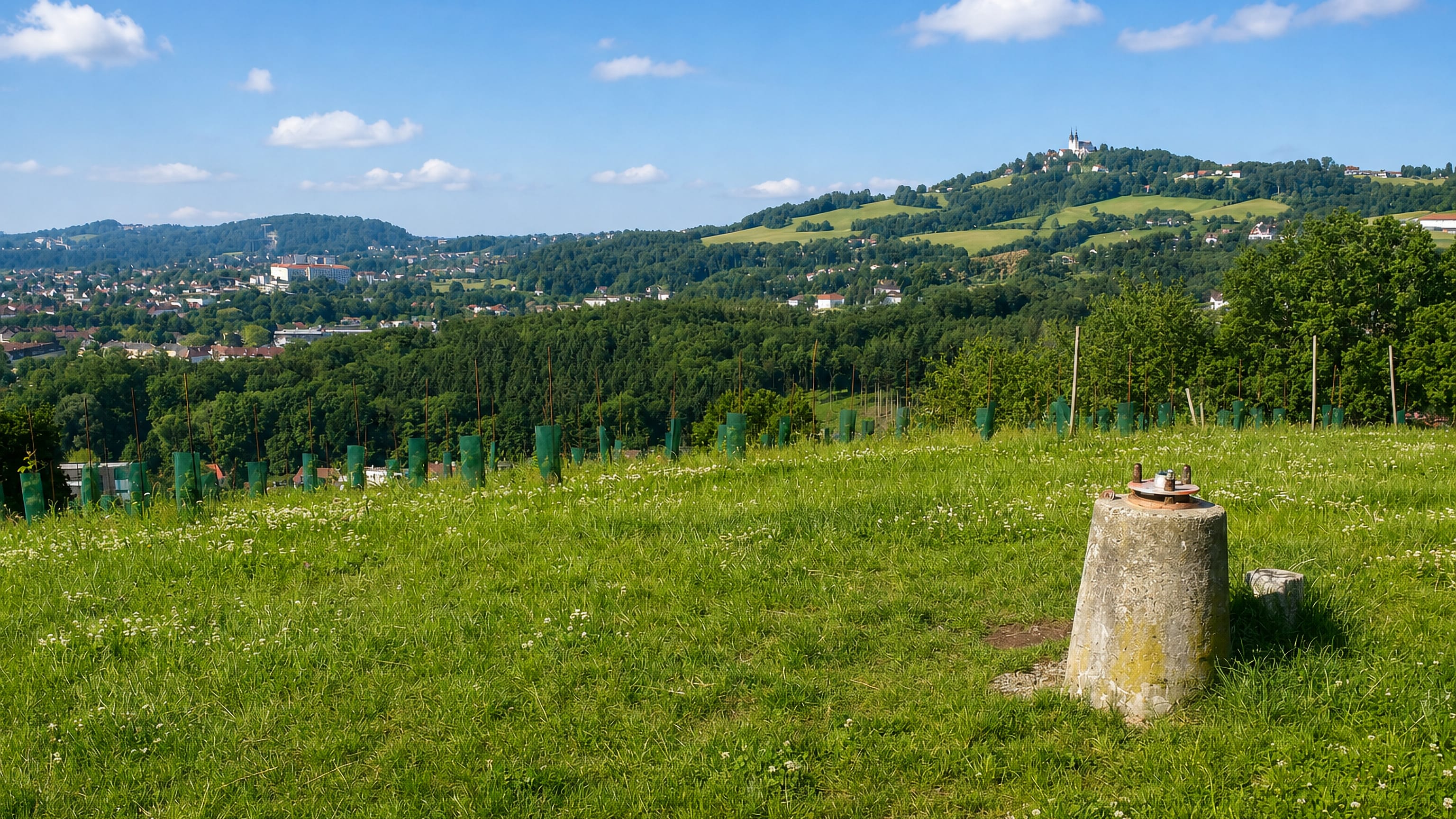 Meadow above Gründberg in Linz looking across wooded hills to the twin-towered Pöstlingberg basilica.