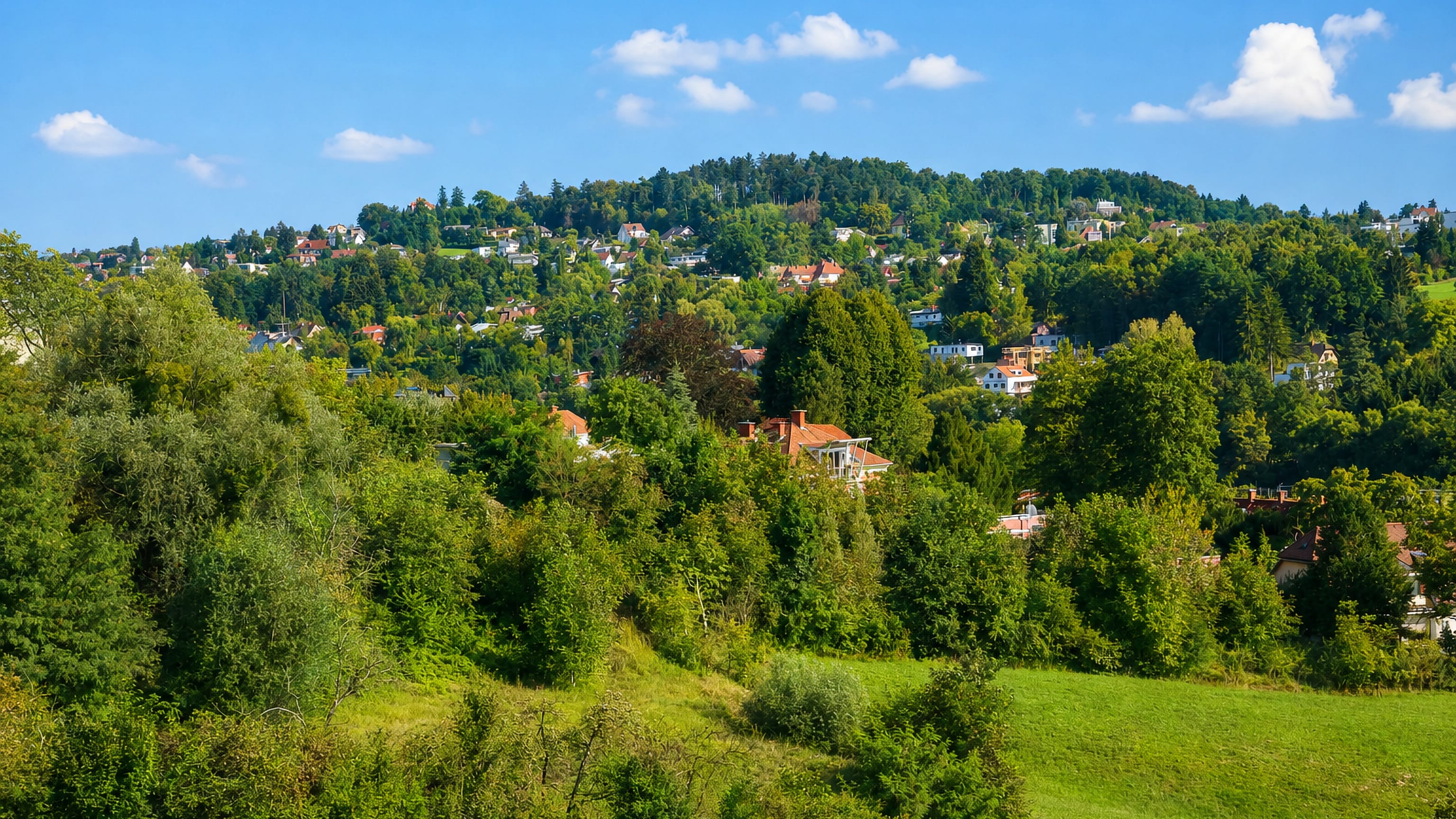 Villas scattered across the wooded hillside of Ries on the eastern edge of Graz.
