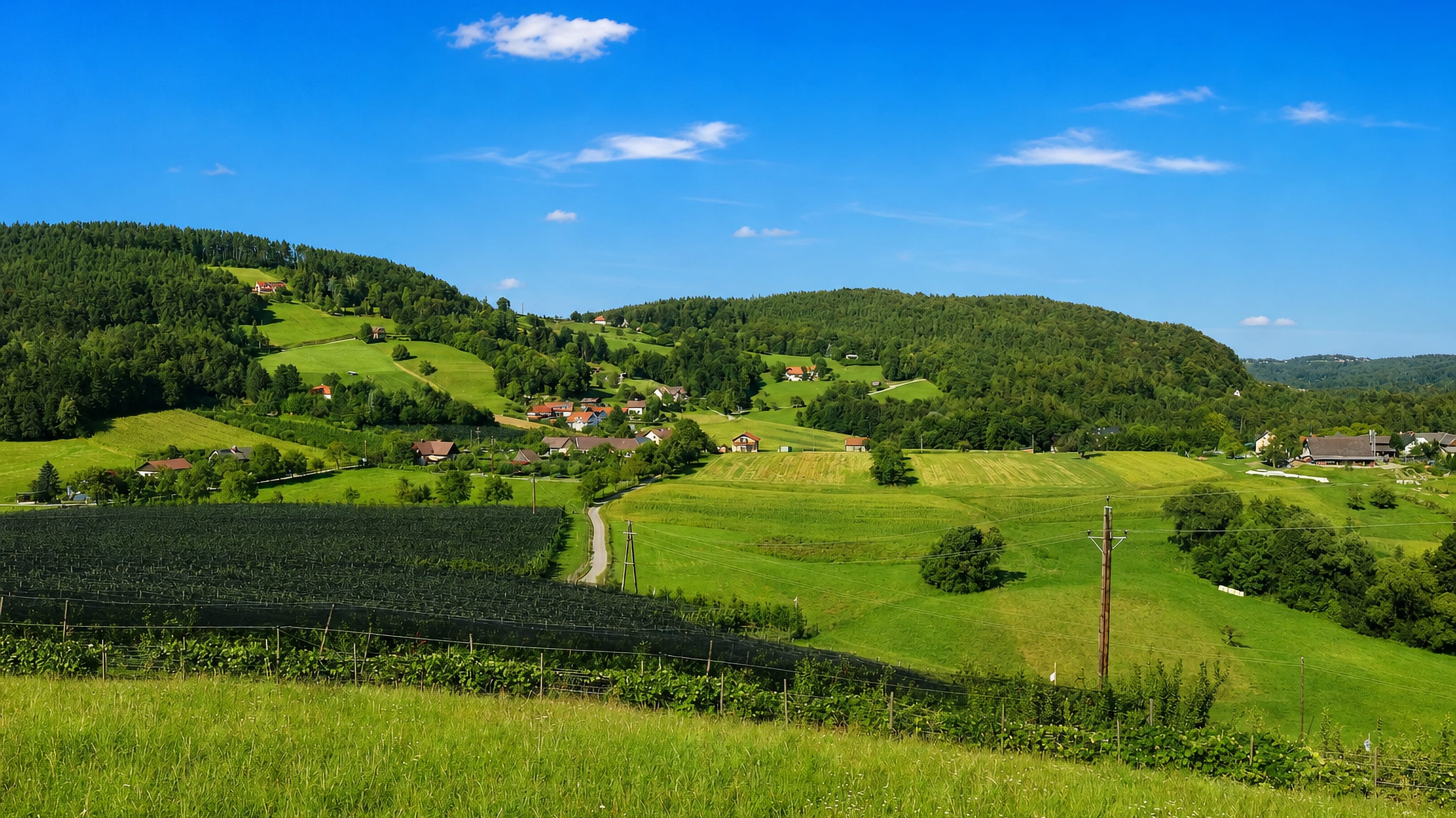 Rolling green hills, netted orchards and scattered farmhouses on the wooded slopes at Wenisbuch near Graz.