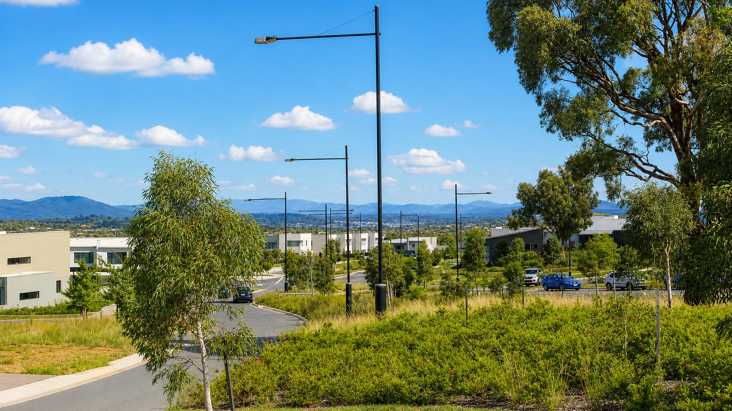 New houses and young native plantings in Casey, Canberra, with distant blue ranges beyond.