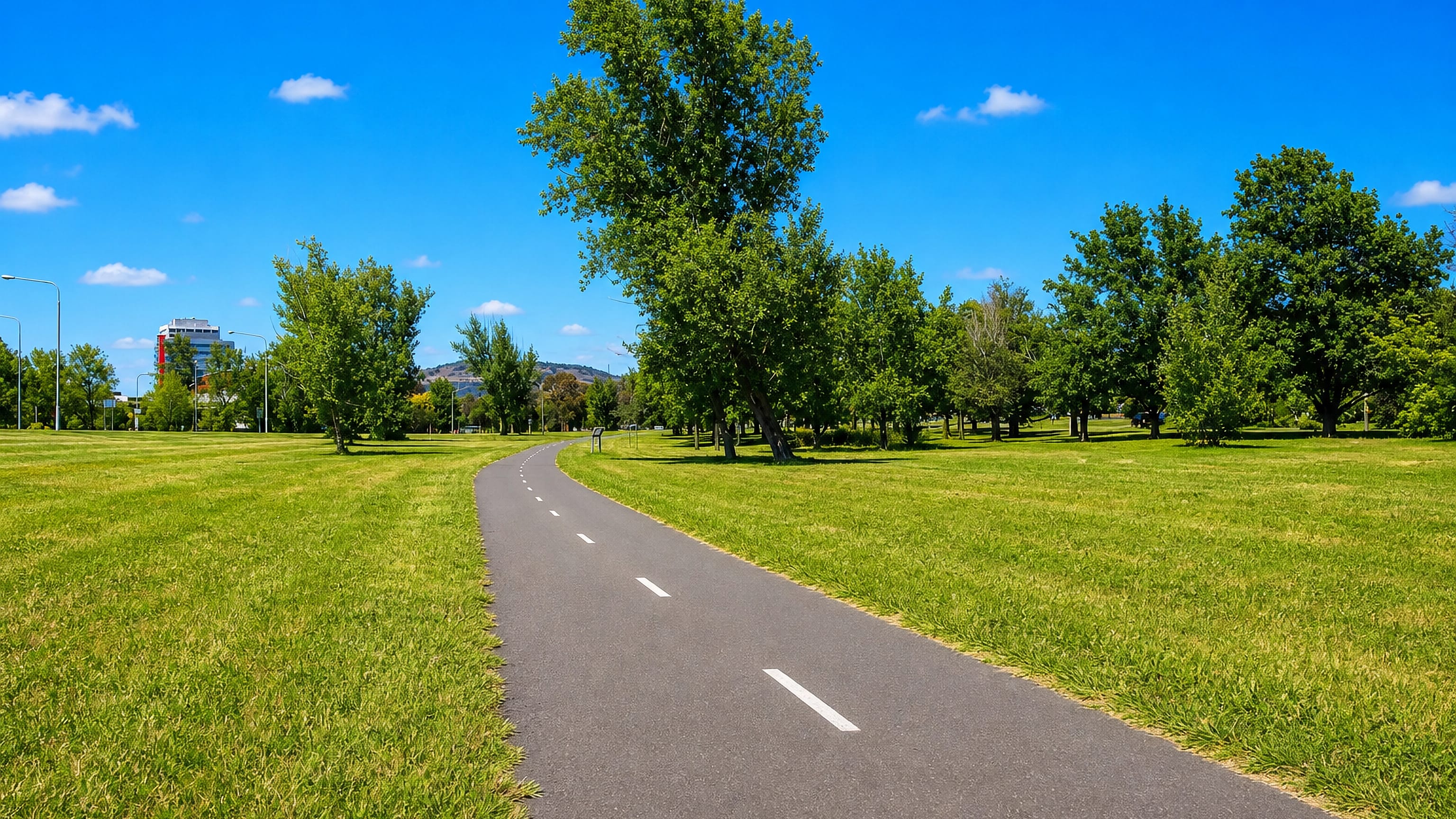 Shared cycle path crossing open parkland with tall trees in the Canberra suburb of Curtin.