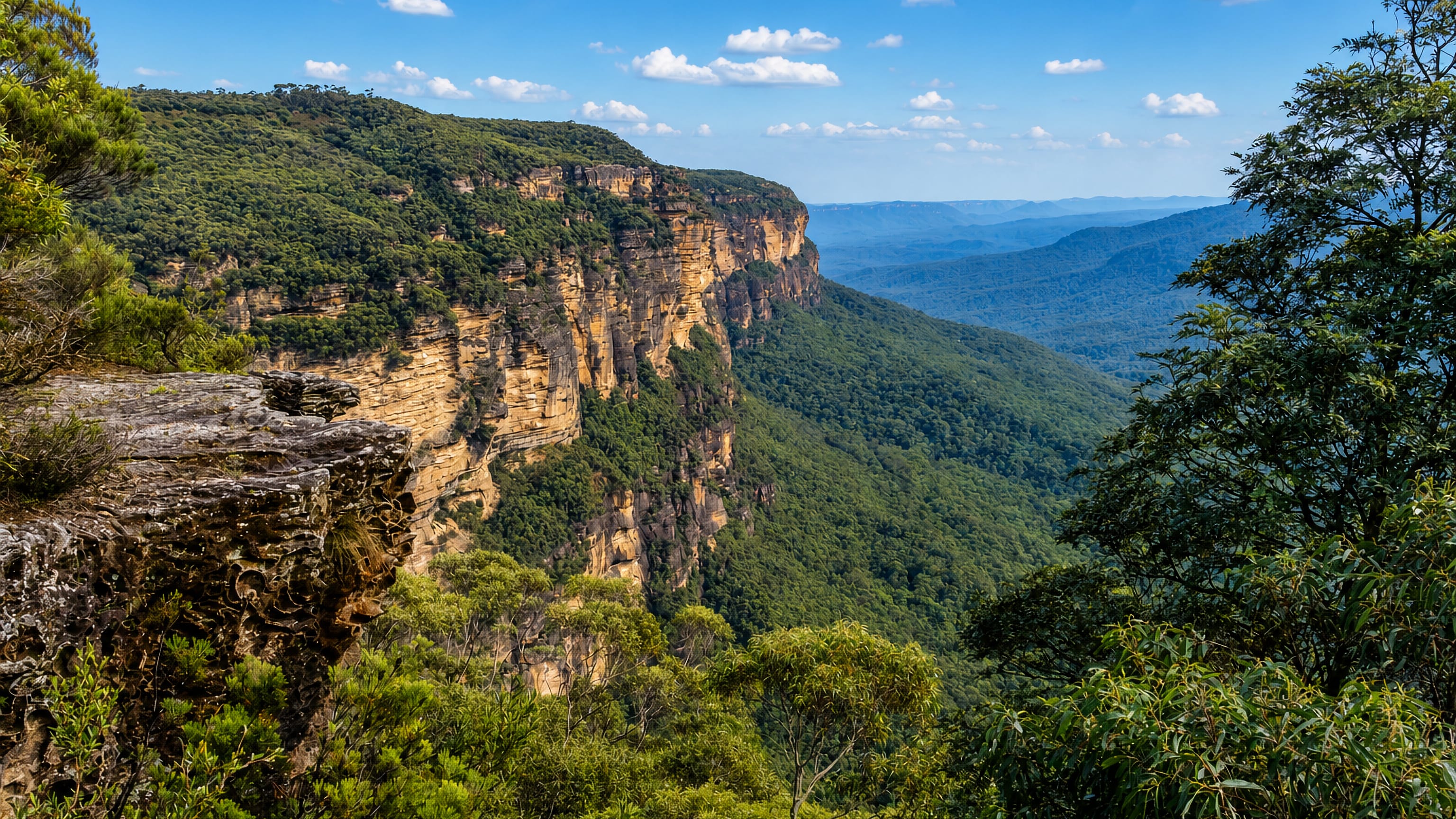 Sandstone escarpment and forested valley seen from a lookout at Wentworth Falls in the Blue Mountains.