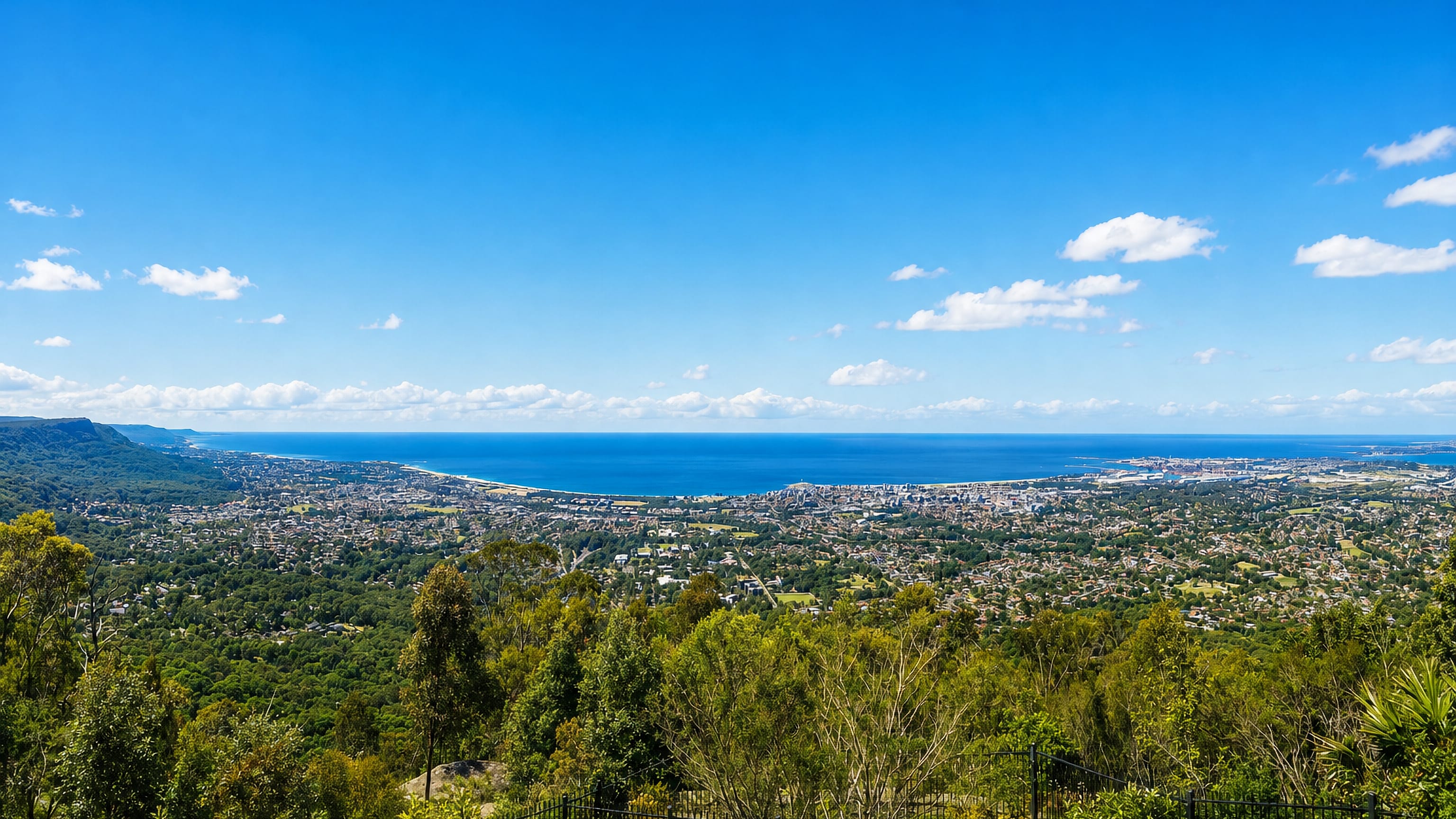 Wollongong spread along the Illawarra coast below the escarpment, seen from a hilltop lookout