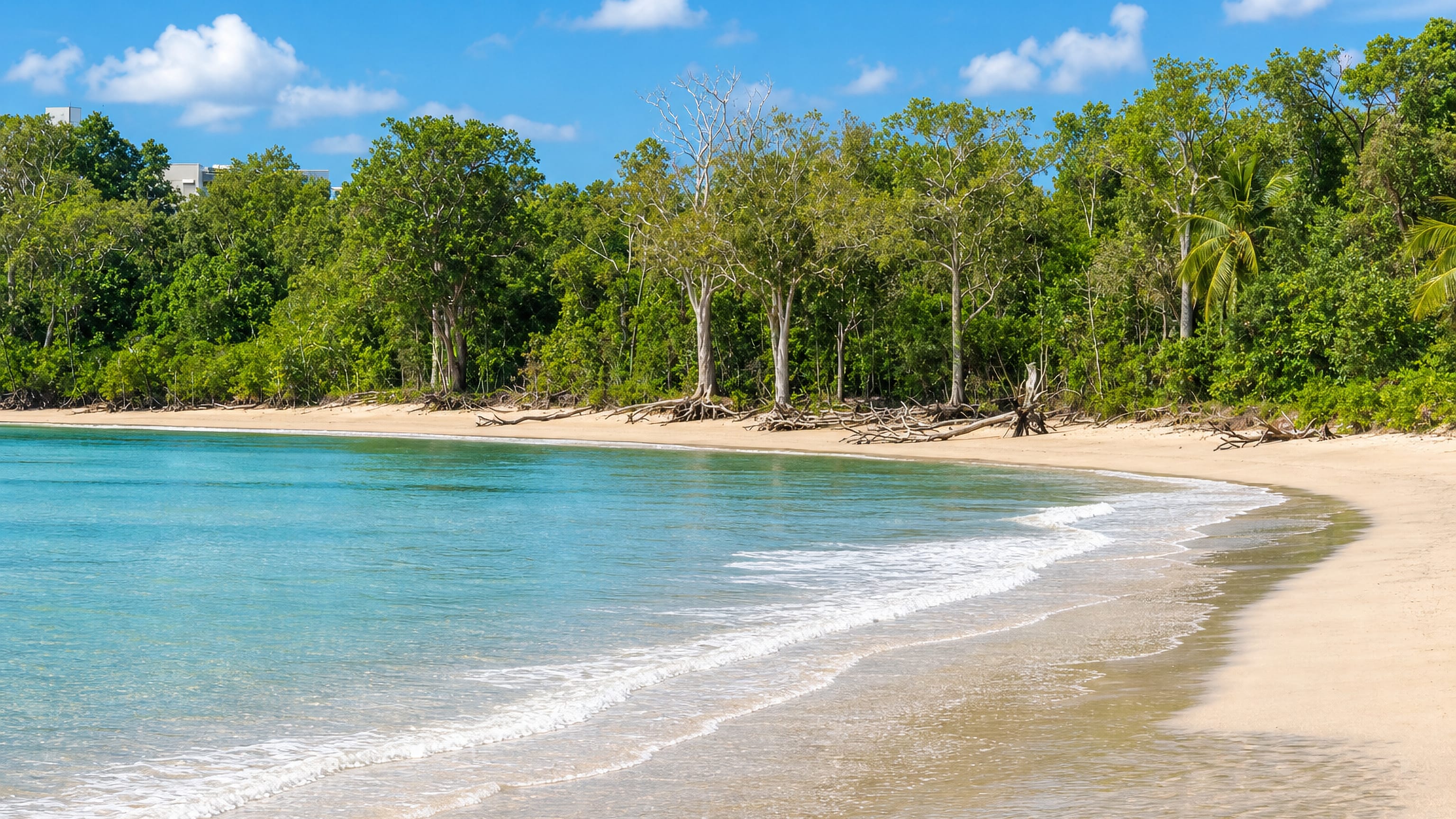 Turquoise water and rainforest-backed sand at Kewarra Beach on the Cairns northern beaches, Queensland.