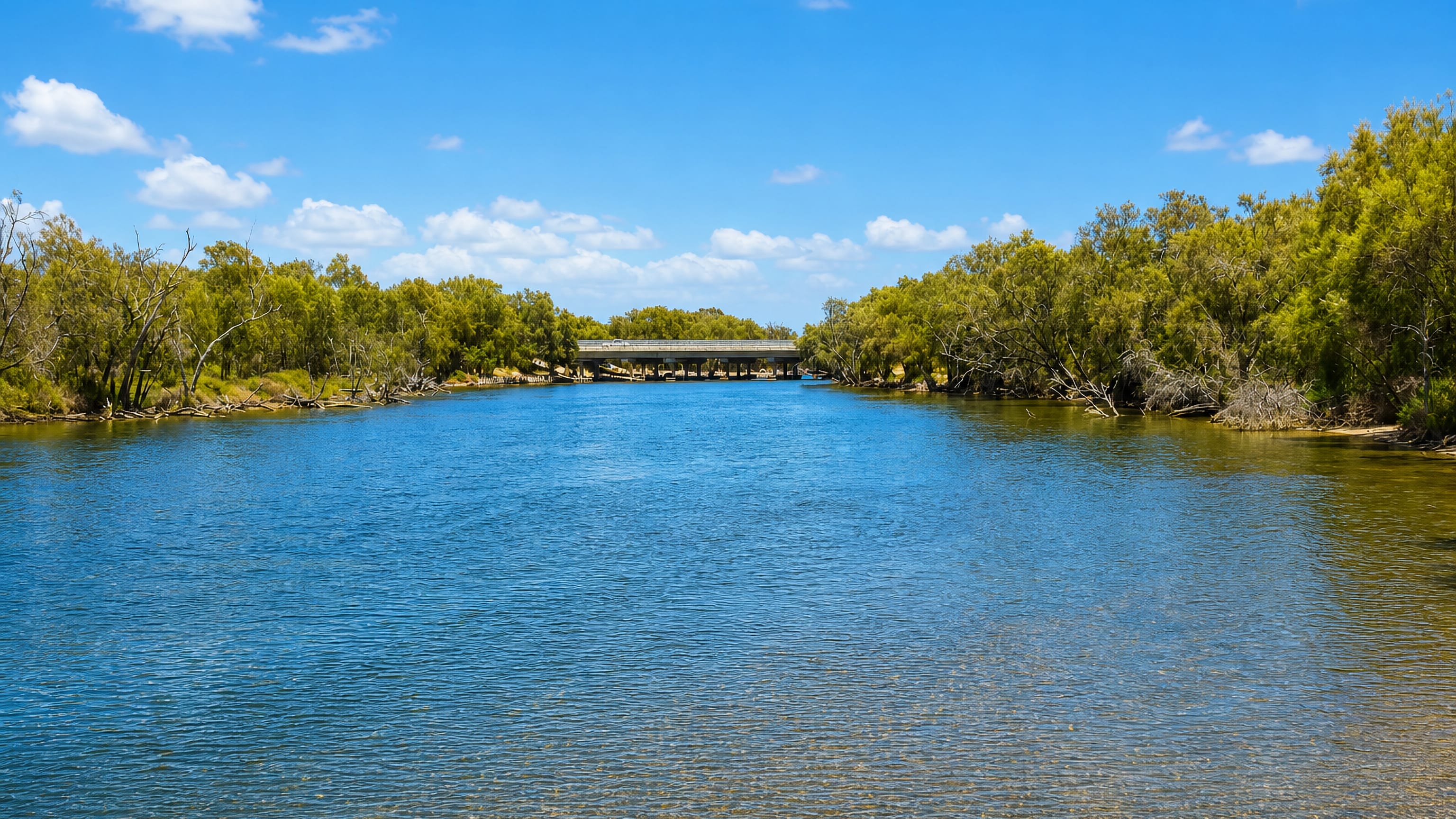 The Serpentine River and its road bridge at Greenfields, Mandurah, framed by paperbark trees.