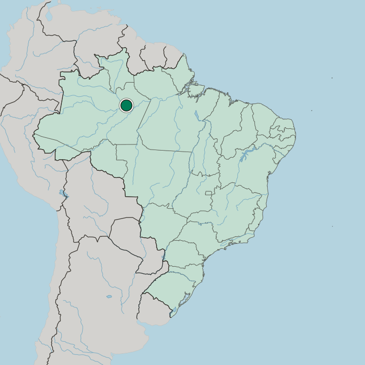Map showing Manaus — In Brazil