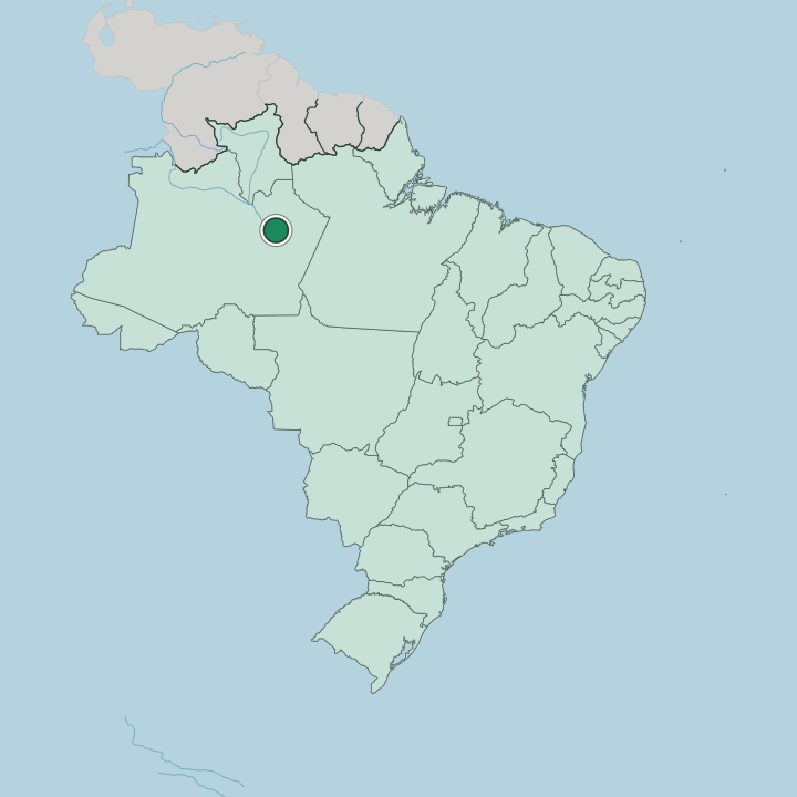Map showing Manaus — In Brazil