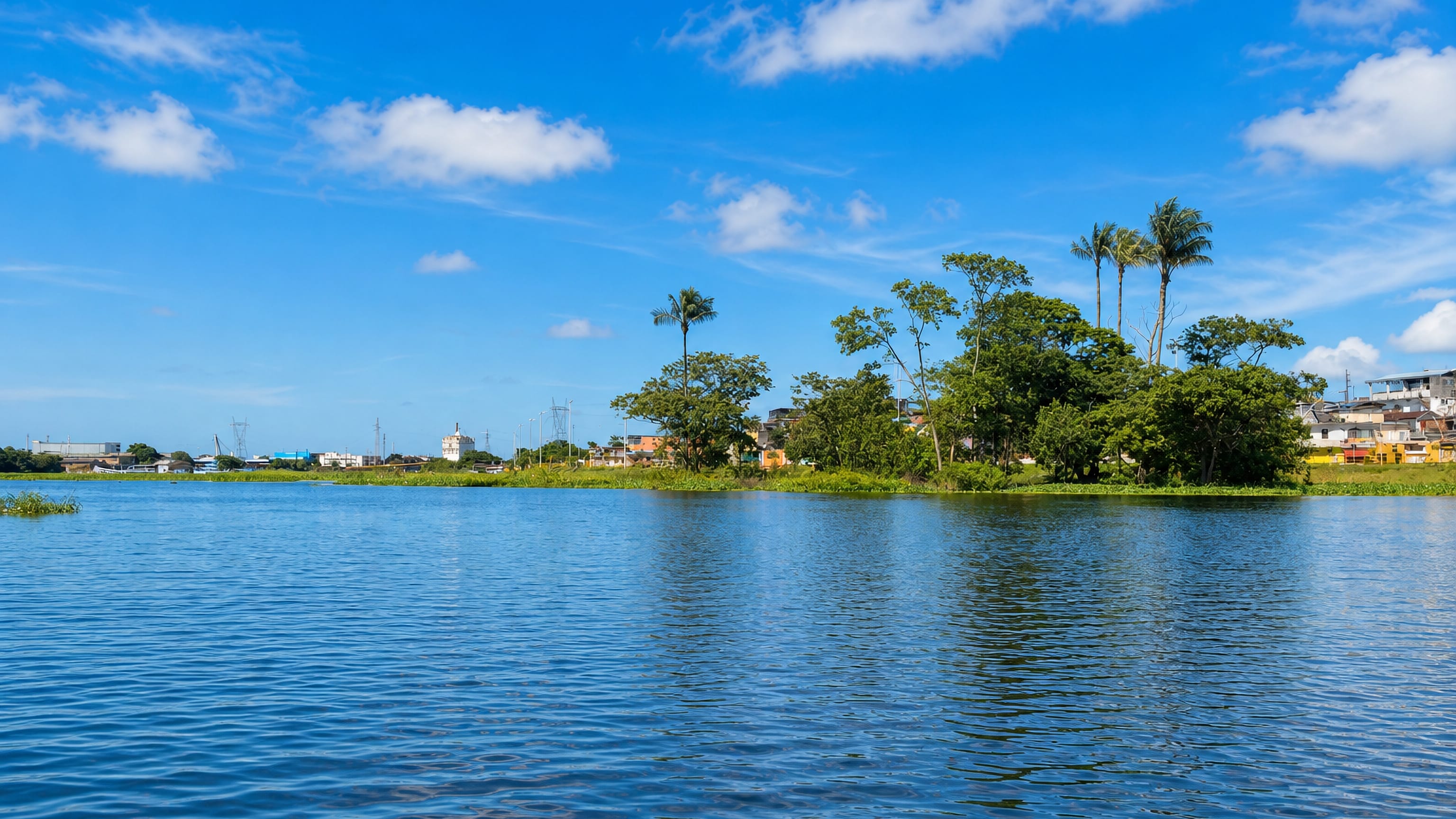 River channel at Sao Raimundo, Manaus, with palms and low waterfront houses along the far bank.