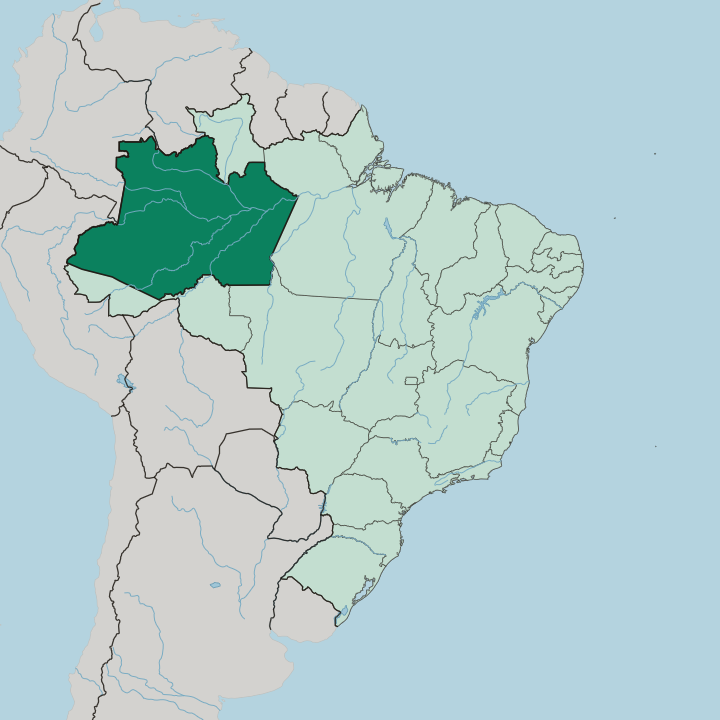 Map showing Amazonas — In Brazil