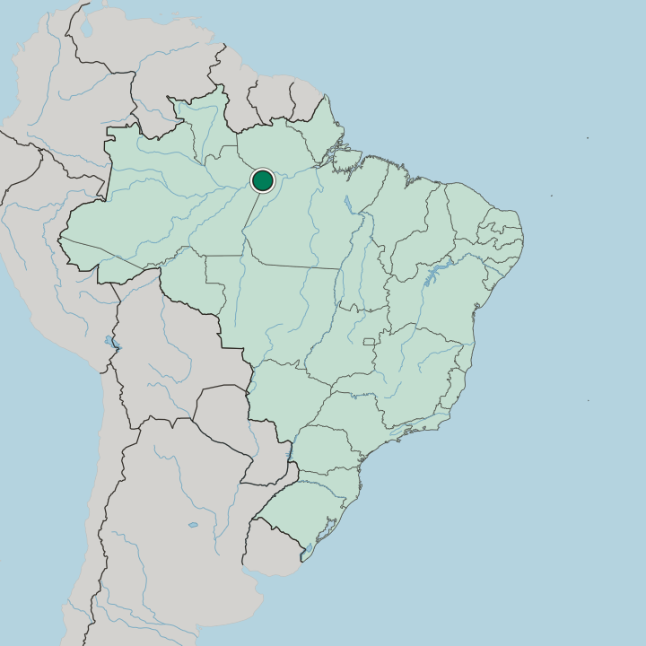 Map showing Parintins — In Brazil