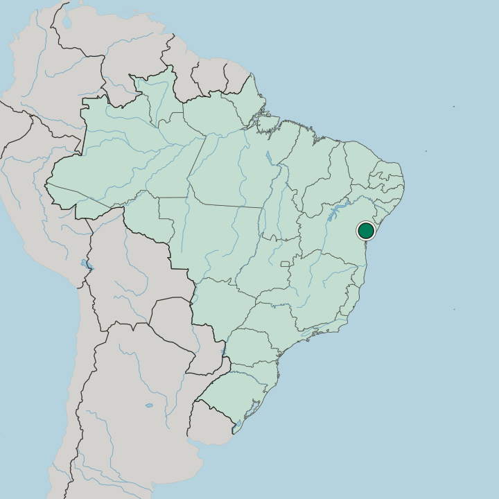 Map showing Feira de Santana — In Brazil