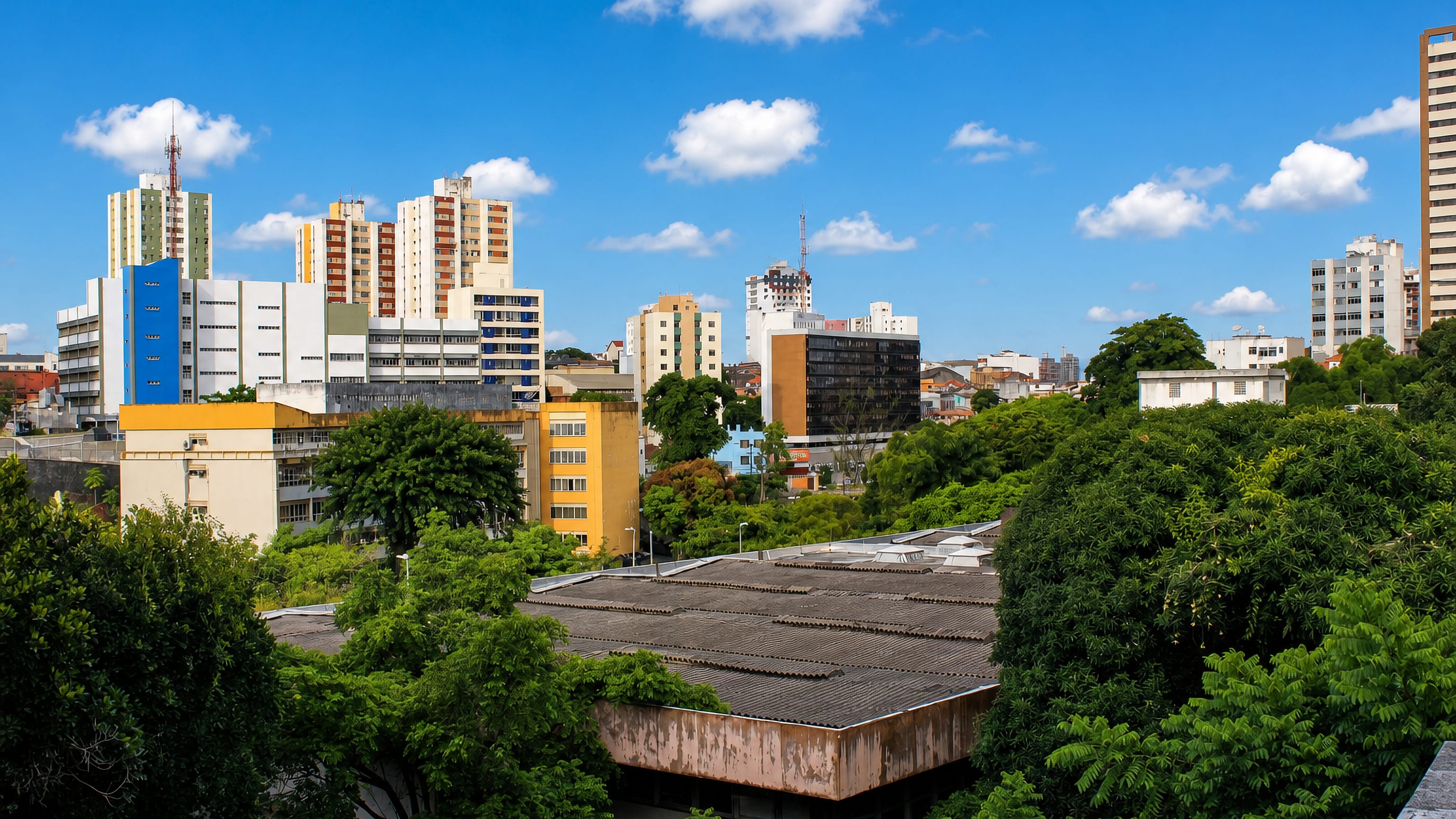 Mid-rise apartment and institutional blocks amid dense green canopy in the Canela district of Salvador, Brazil.