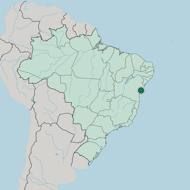 Map showing Salvador — In Brazil