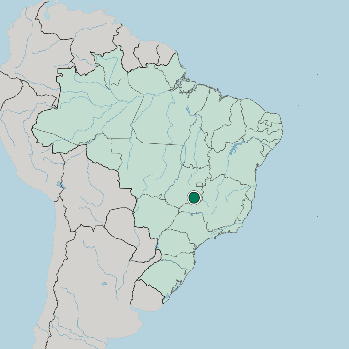Map showing Caldas Novas — In Brazil
