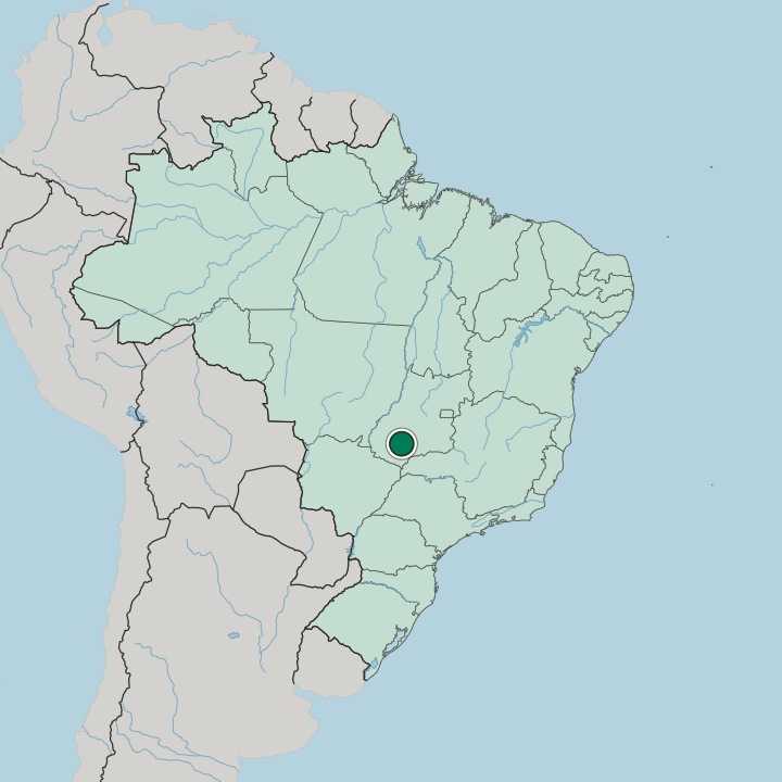 Map showing Rio Verde — In Brazil