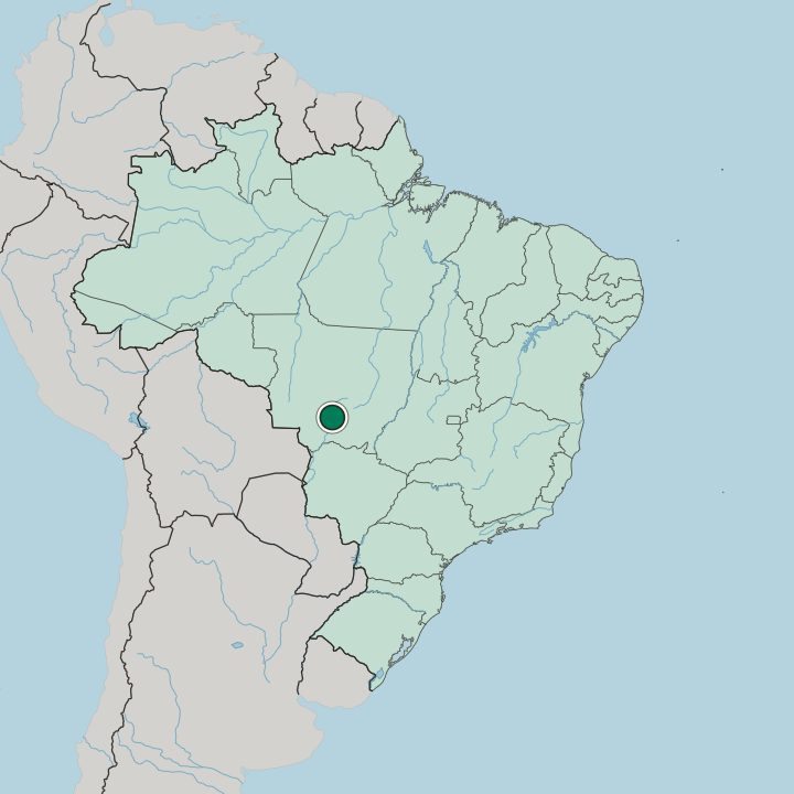 Map showing Goiabeira — In Brazil
