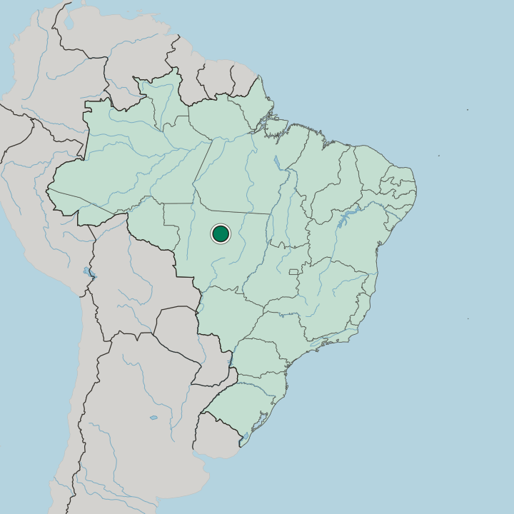 Map showing Sinop — In Brazil