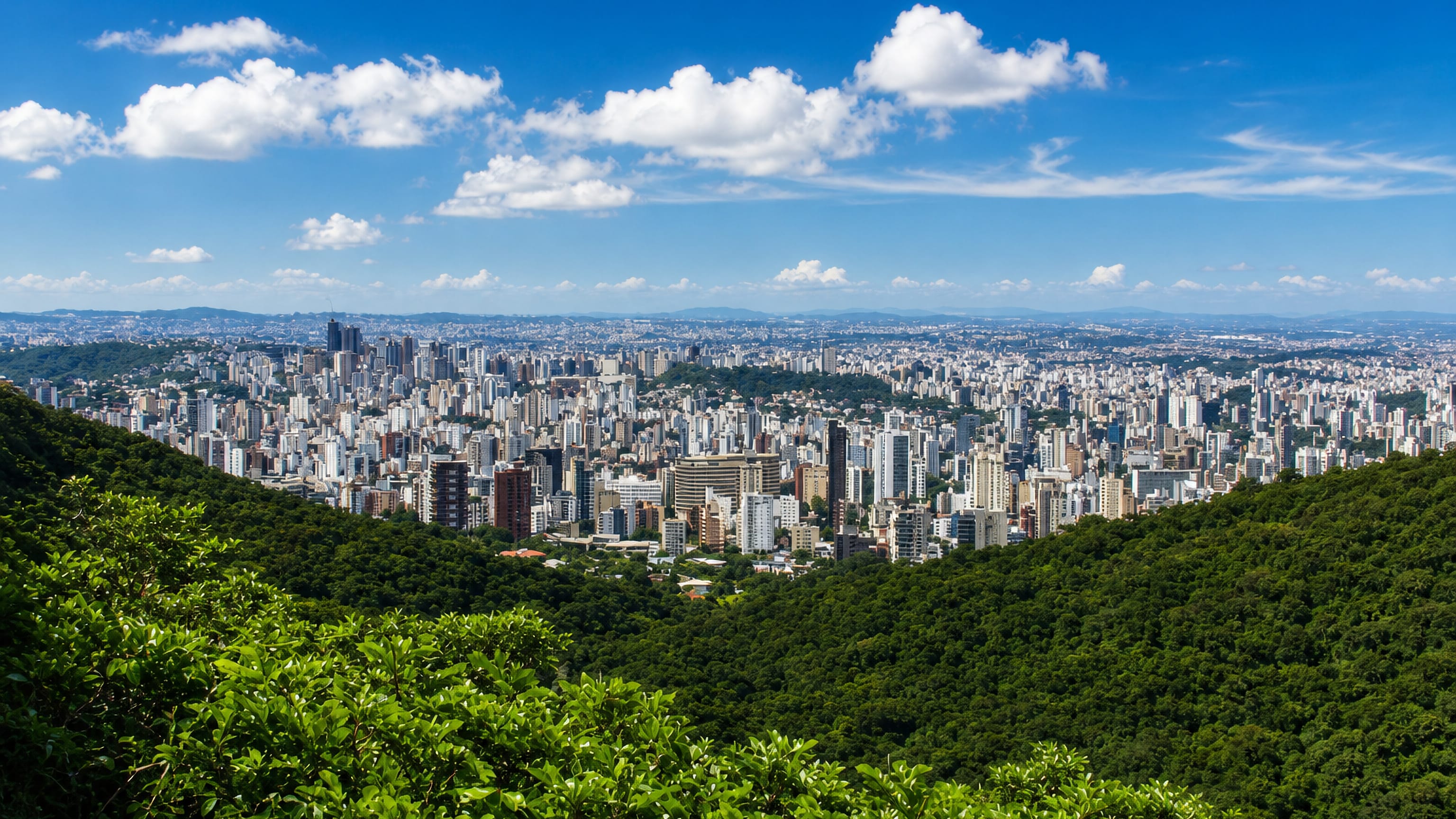 Belo Horizonte's high-rise skyline seen from the forested Serra do Curral slopes above Mangabeiras.