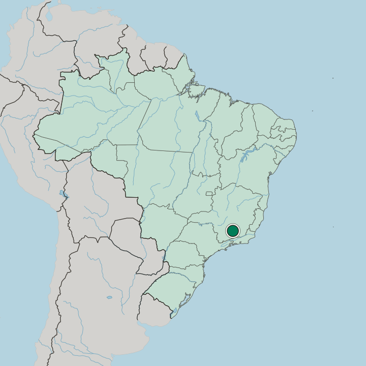 Map showing São João del Rei — In Brazil