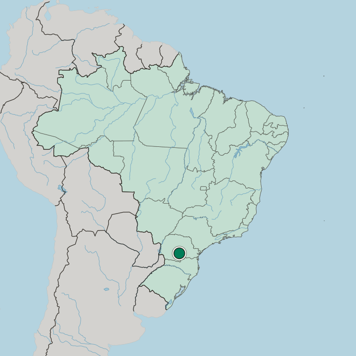 Map showing Guarapuava — In Brazil