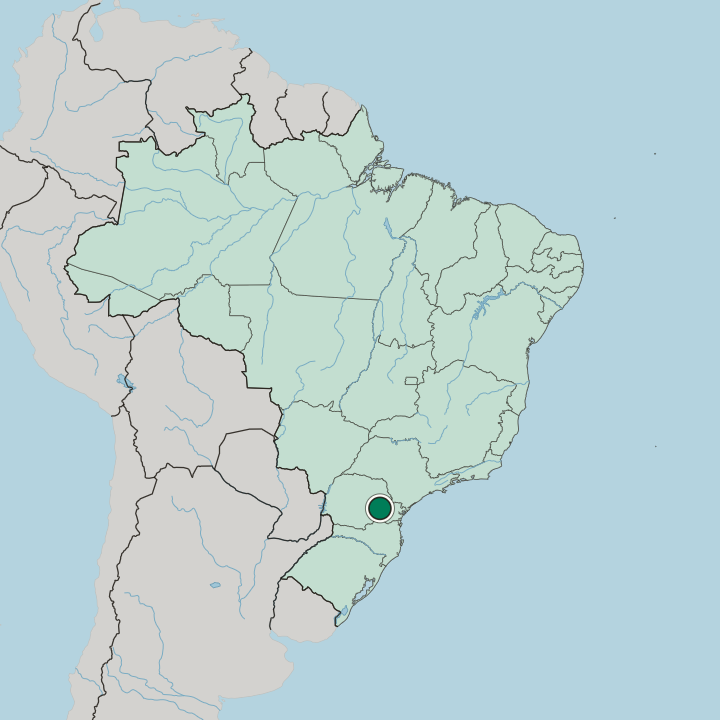 Map showing Ponta Grossa — In Brazil