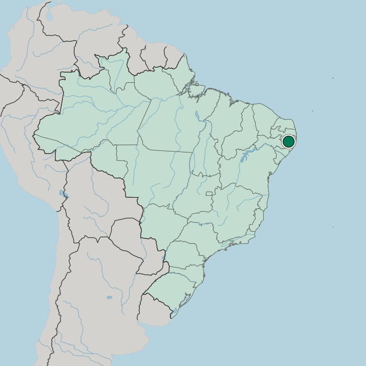 Map showing Caruaru — In Brazil