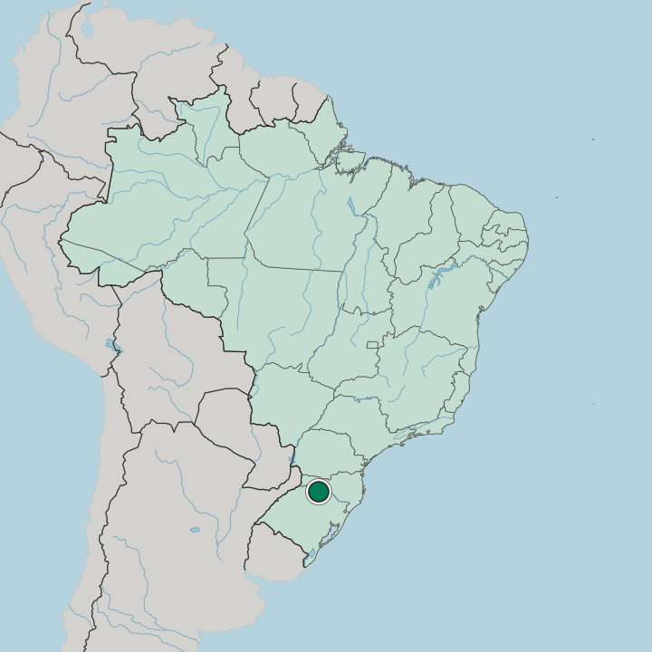 Map showing Erechim — In Brazil