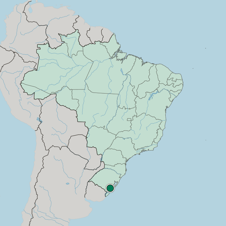 Map showing Pelotas — In Brazil