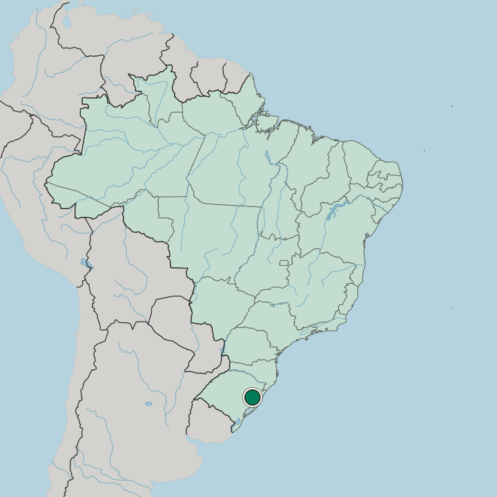 Map showing Vila Assunção — In Brazil