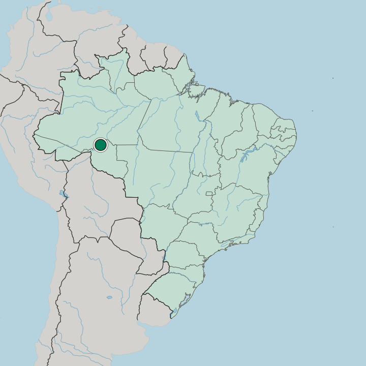 Map showing Porto Velho — In Brazil