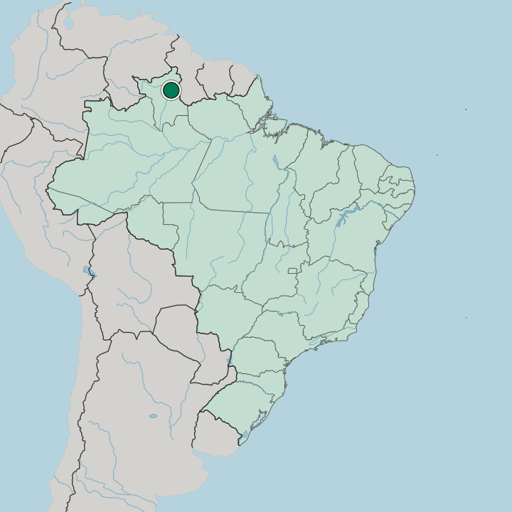 Map showing Boa Vista — In Brazil
