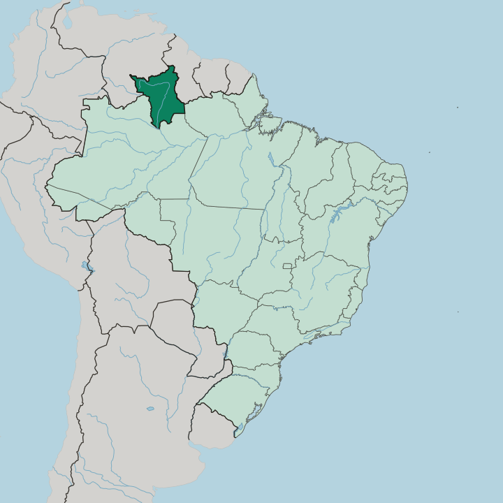 Map showing Roraima — In Brazil