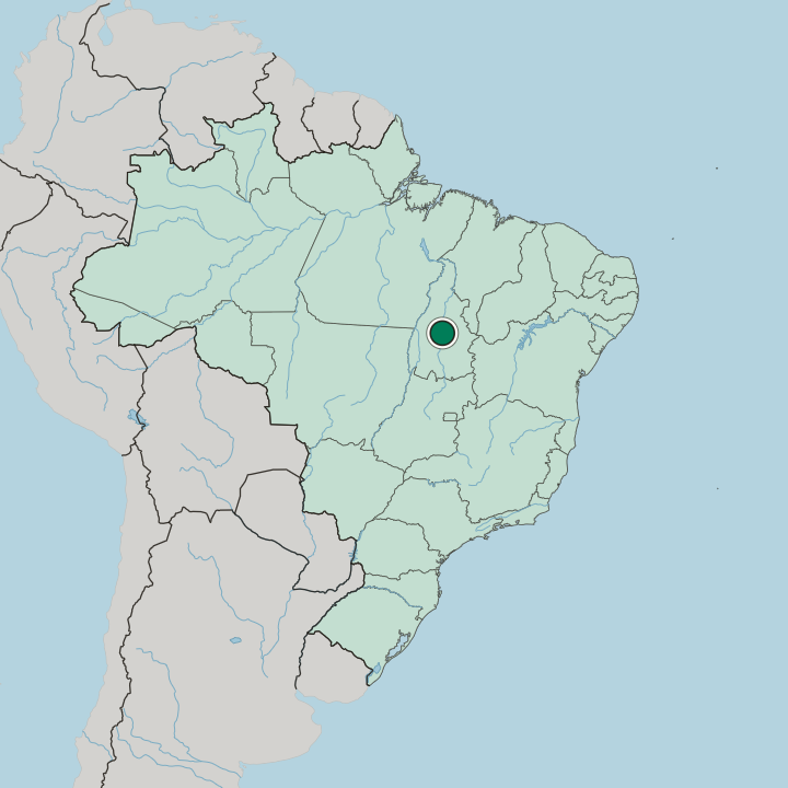 Map showing Palmas — In Brazil