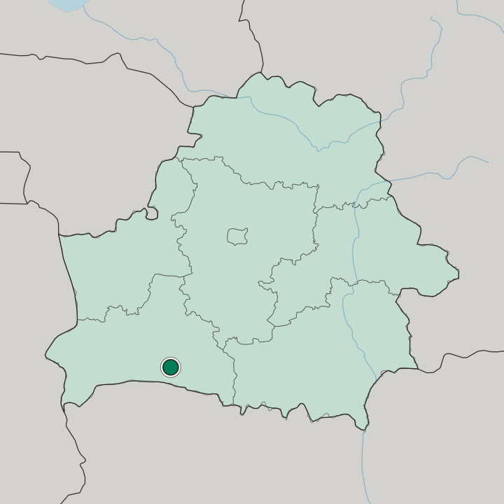 Map showing Pinsk — In Belarus