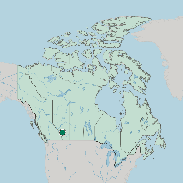 Map showing Calgary — In Canada