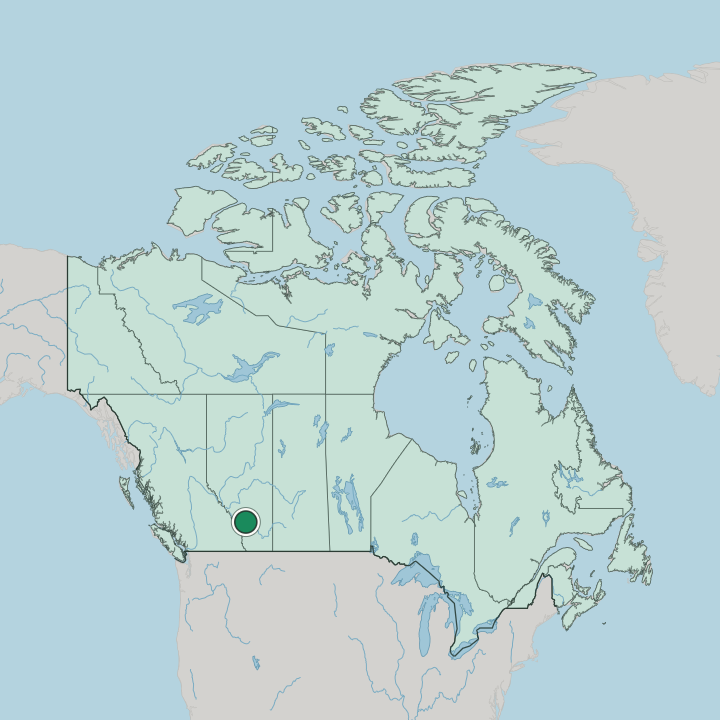 Map showing Calgary — In Canada