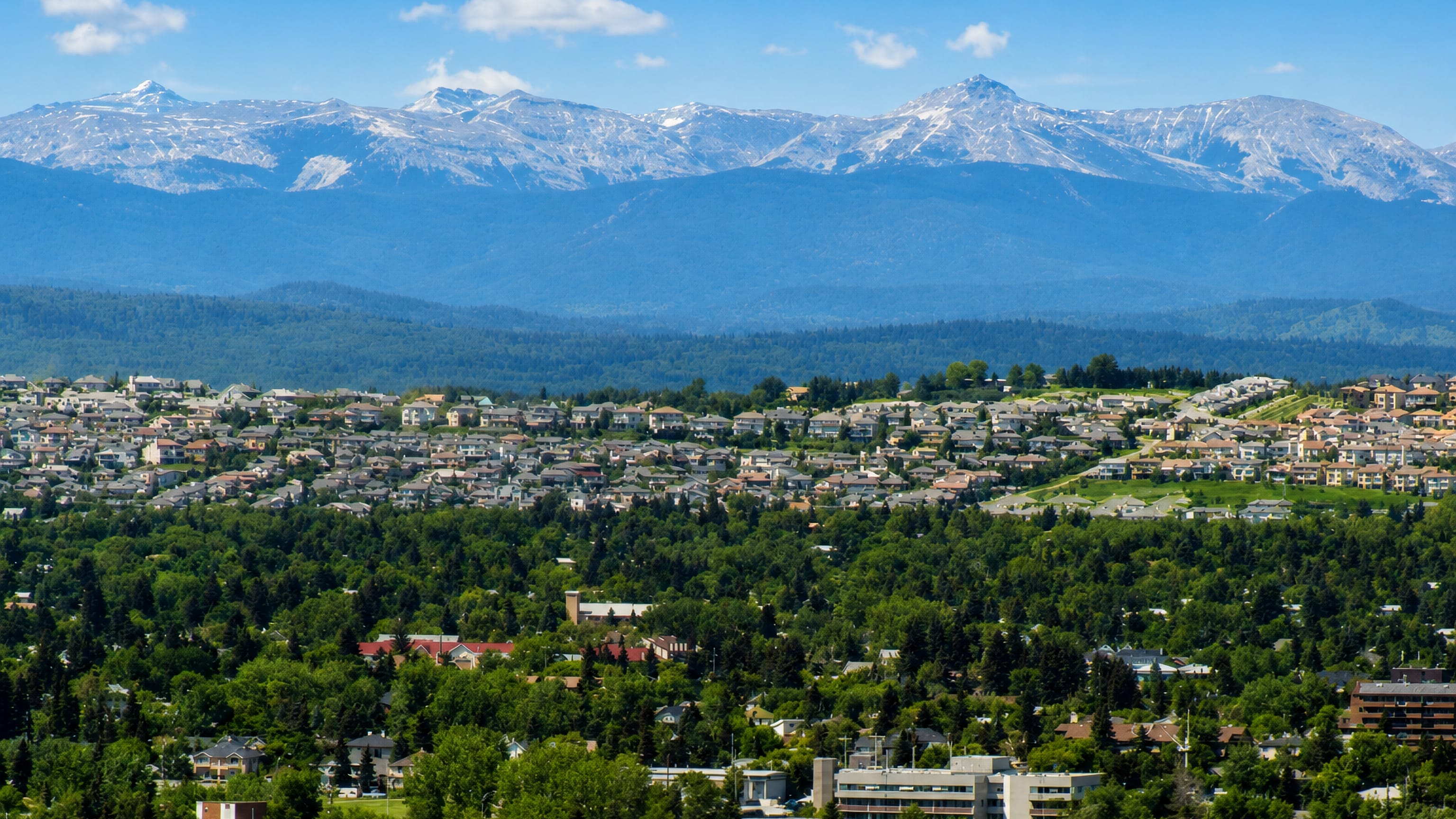 Suburban homes of Signal Hill, Calgary, spread below the snow-capped Rocky Mountains.