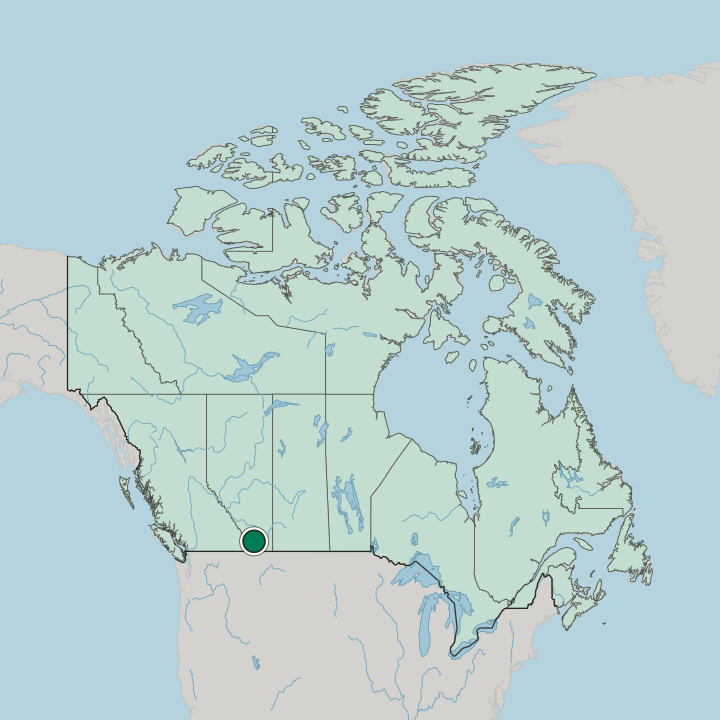 Map showing Lethbridge — In Canada