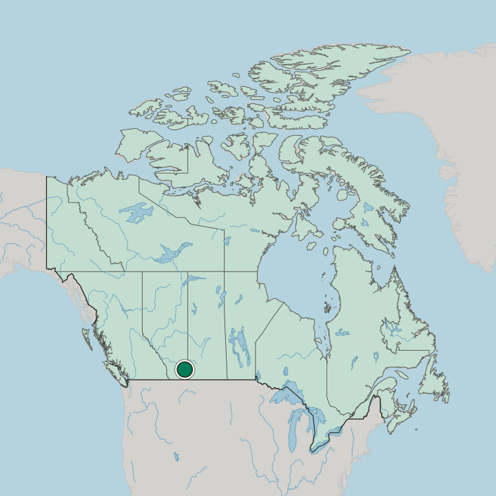 Map showing Medicine Hat — In Canada