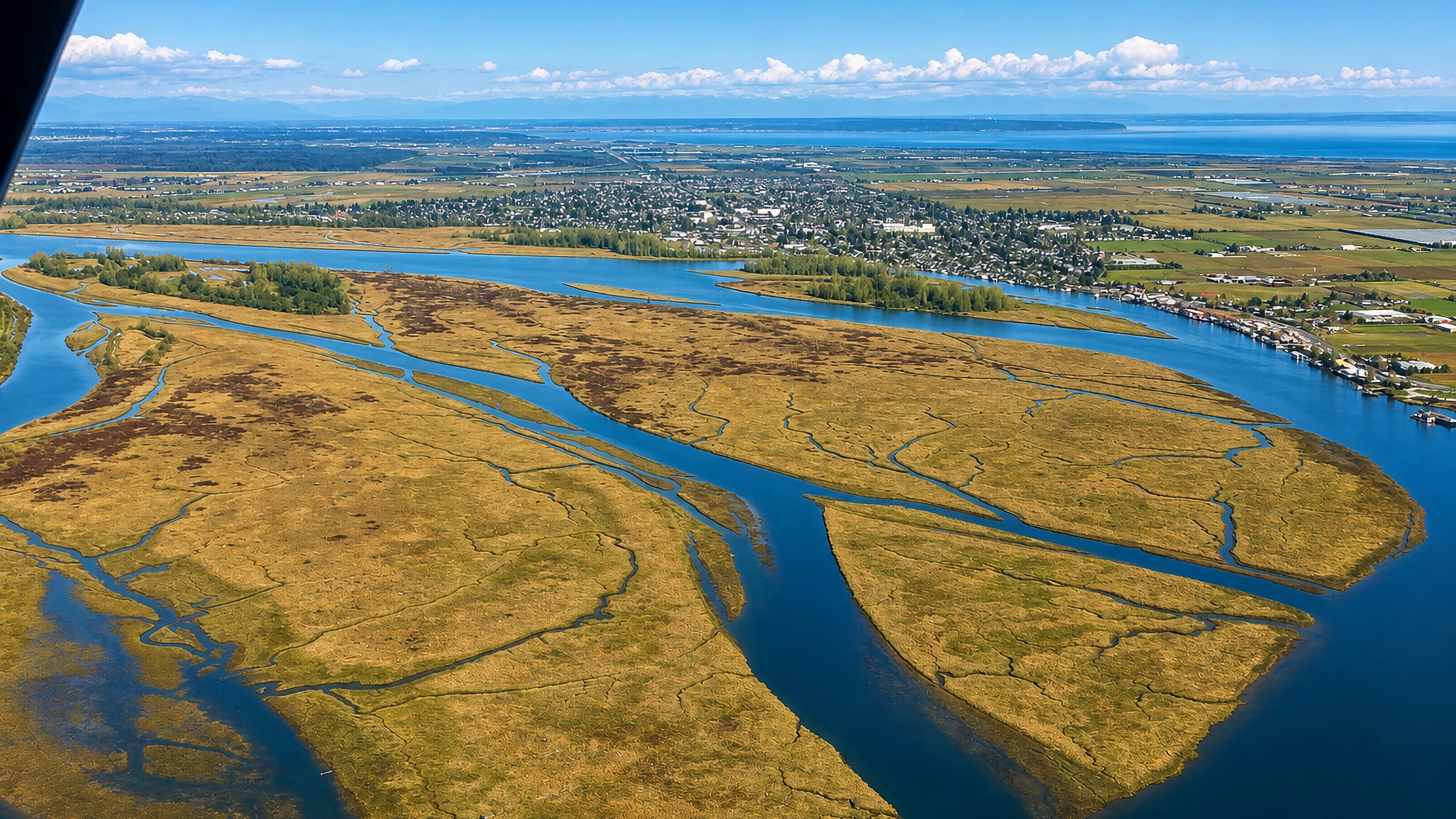 Aerial over the Fraser delta marshes and the riverside town of Ladner, British Columbia.