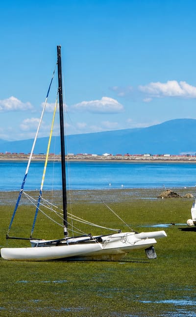 Boats resting on the tidal flats at Tsawwassen, British Columbia, with coastal mountains beyond