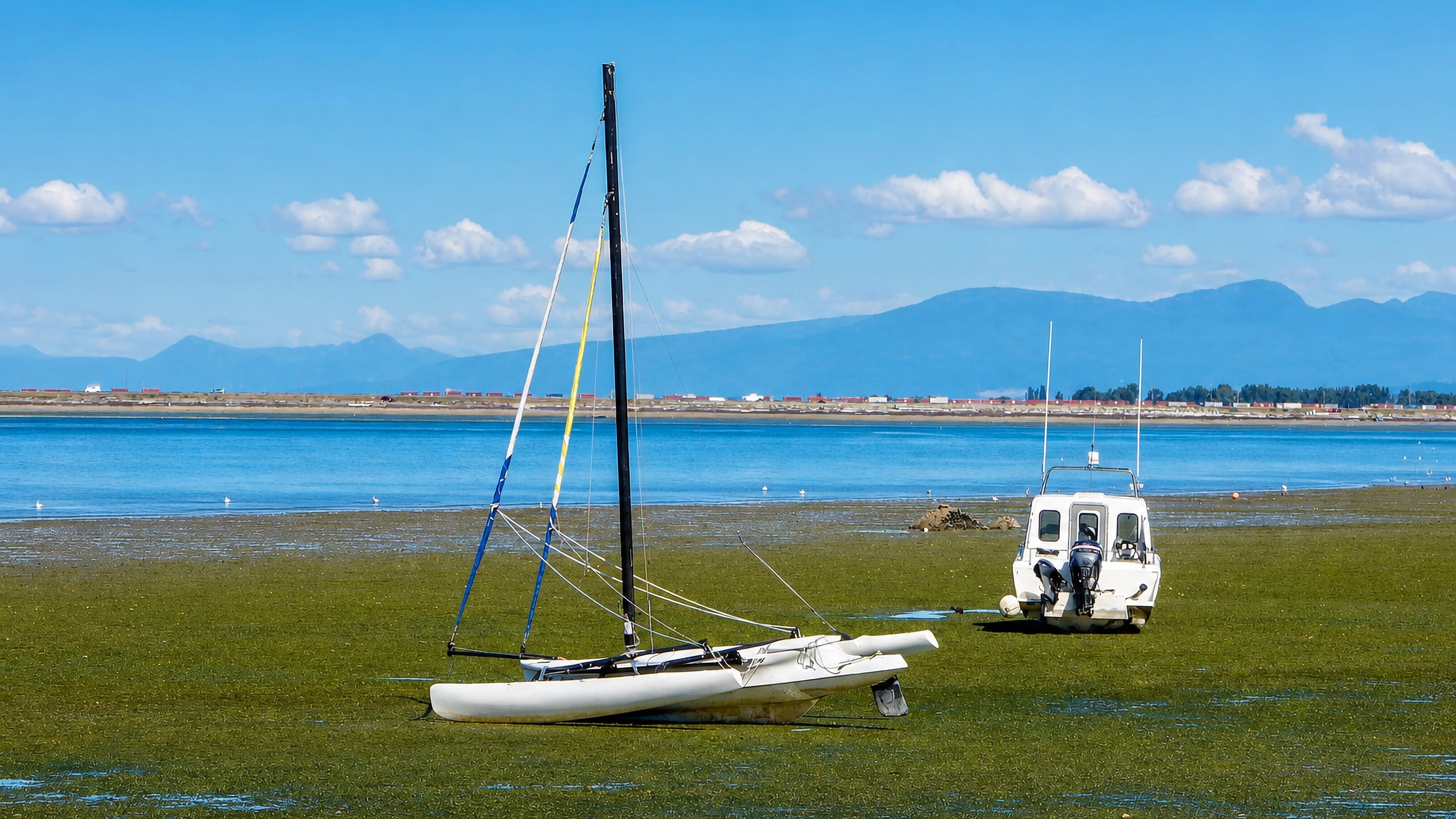 Boats resting on the tidal flats at Tsawwassen, British Columbia, with coastal mountains beyond