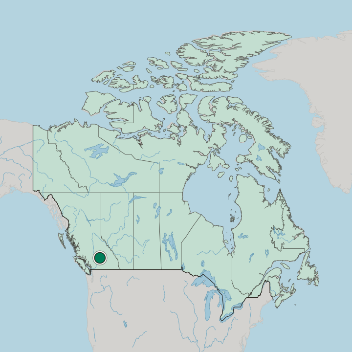 Map showing Kamloops — In Canada