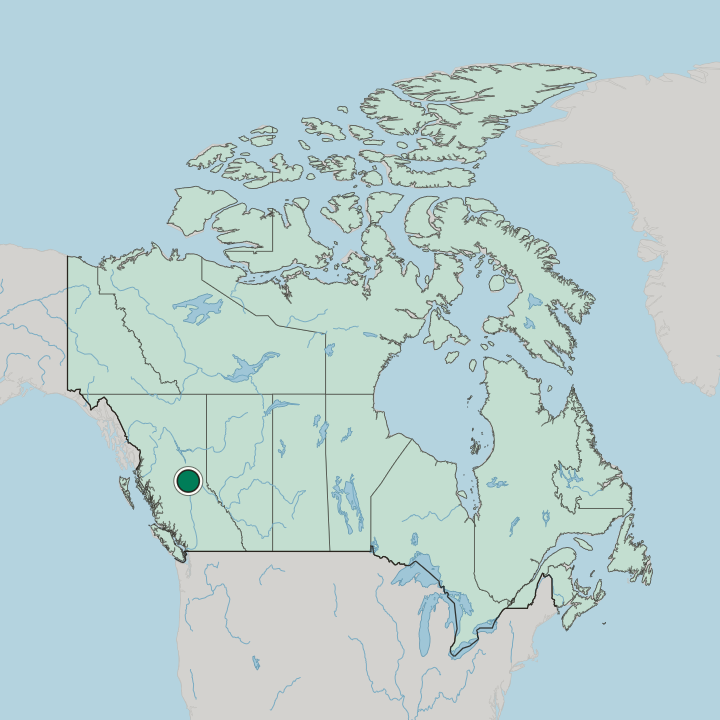 Map showing Prince George — In Canada