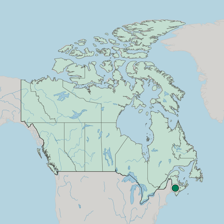 Map showing Saint John — In Canada