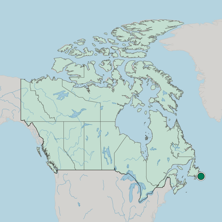 Map showing Downtown St. John's — In Canada
