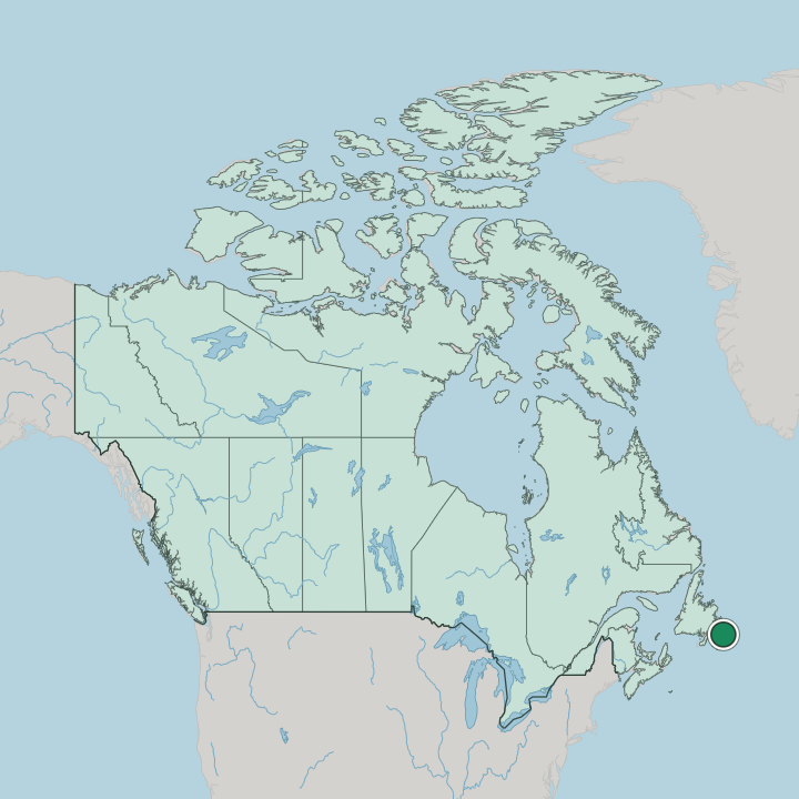 Map showing St. John's — In Canada