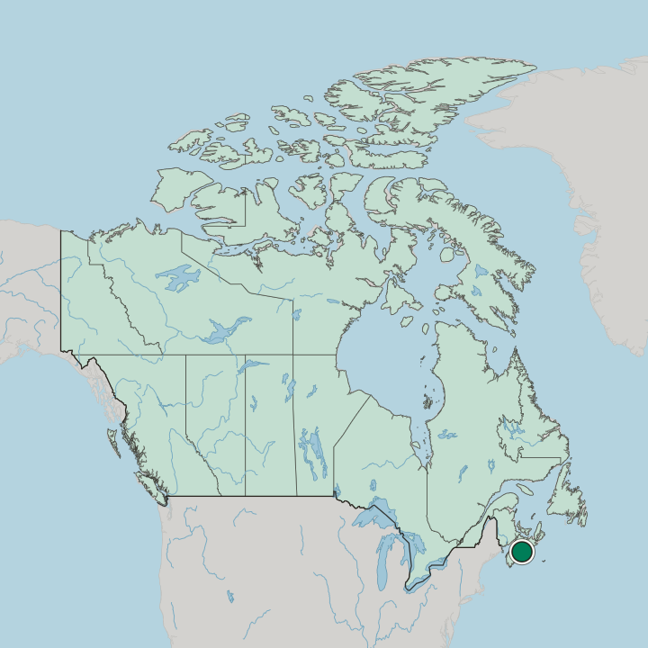 Map showing Dartmouth — In Canada