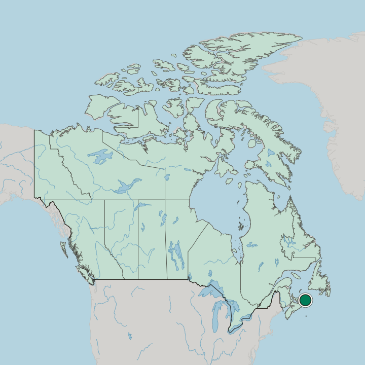 Map showing Sydney — In Canada